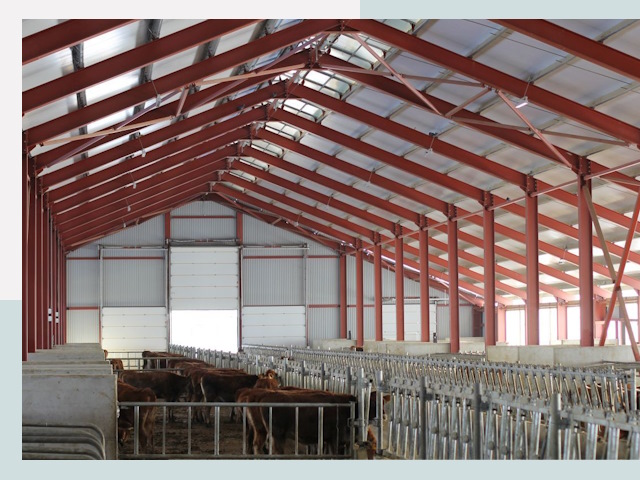 Строительство коровников в Соликамске