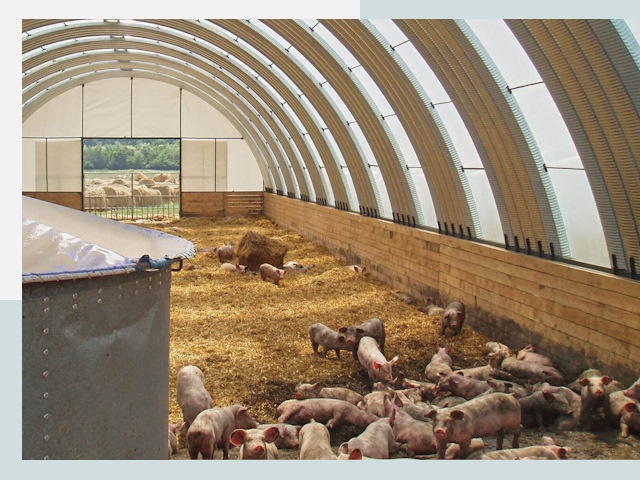 Строительство свинарников в Соликамске