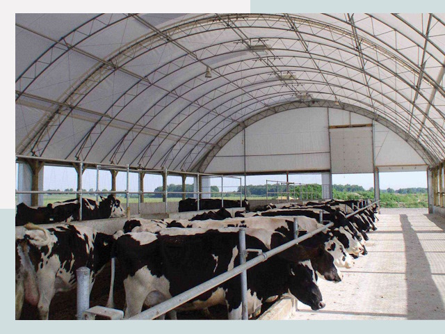 Тентовые коровники в Соликамске